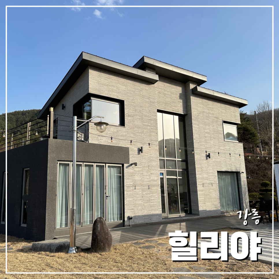 힐리야 이미지