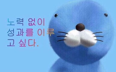 포튼가먼트경기 이미지
