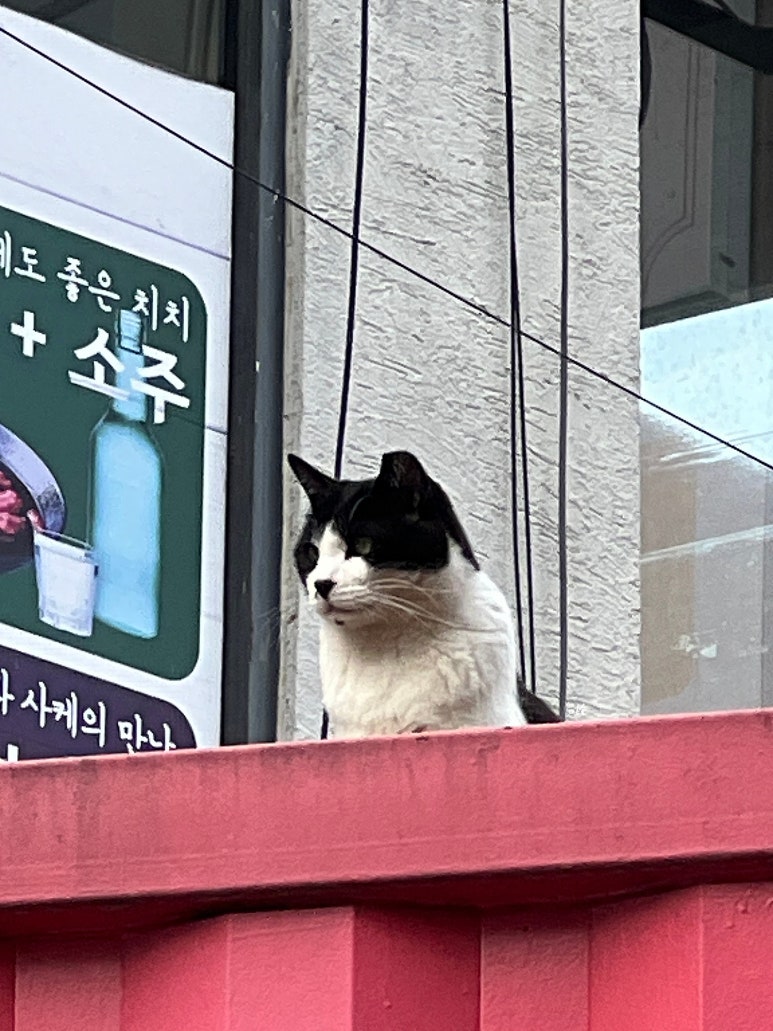 (주) 육전국밥대학로점 이미지