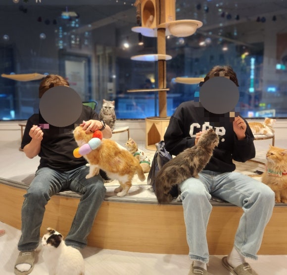 아가마미고양이카페 이미지
