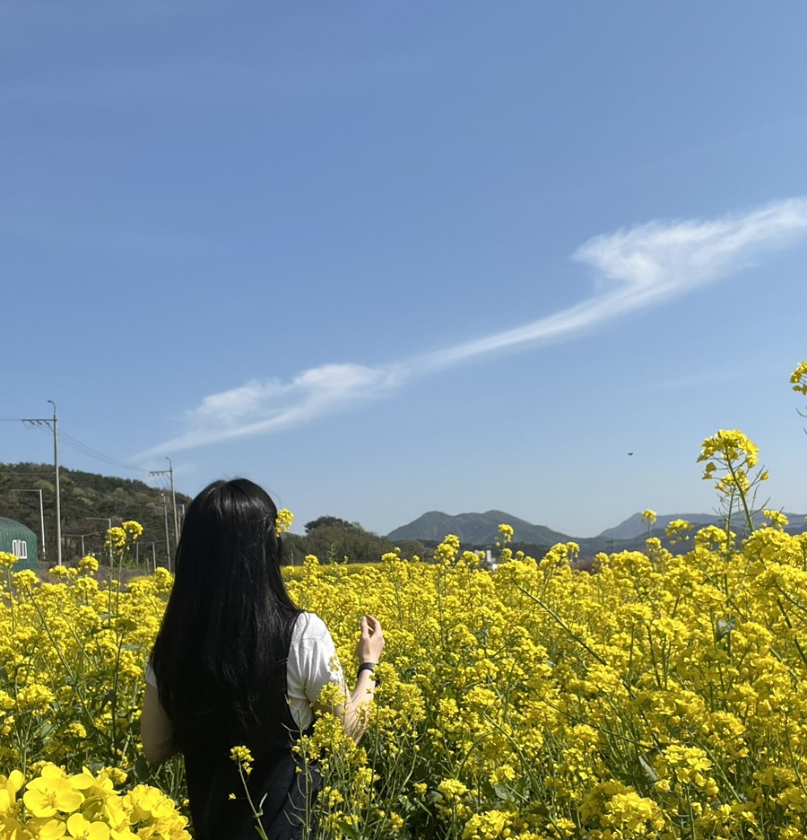 명소 돼지국밥 이미지
