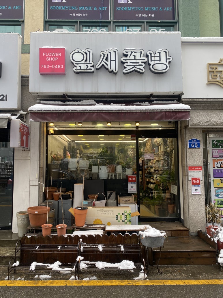 잎새꽃방 이미지