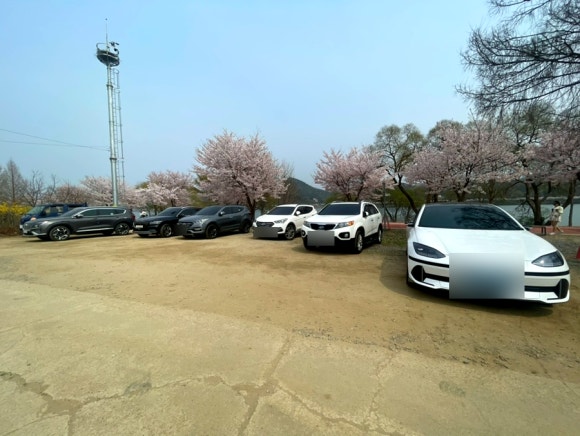 오삼~팜 이미지