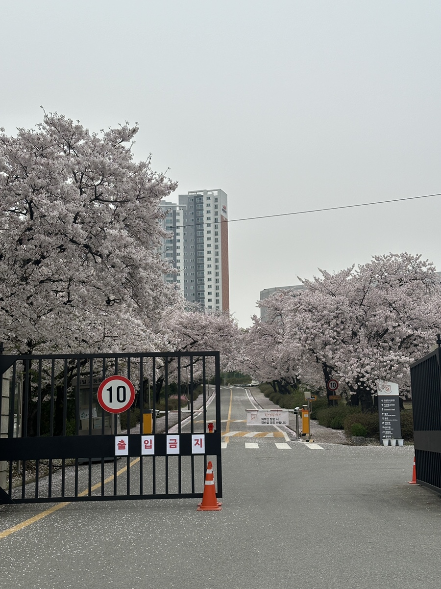 박순자아우내순대 이미지