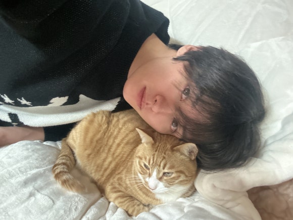 나인걸 이미지
