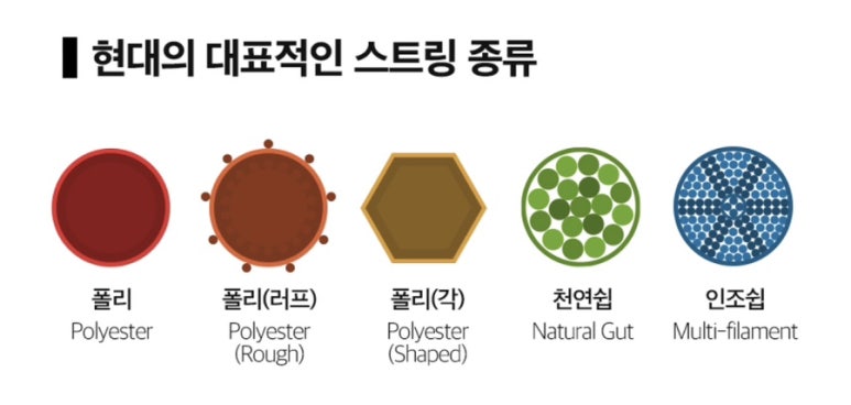 에스비스포츠 이미지