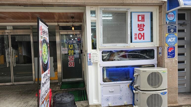 구명애포항물회 이미지