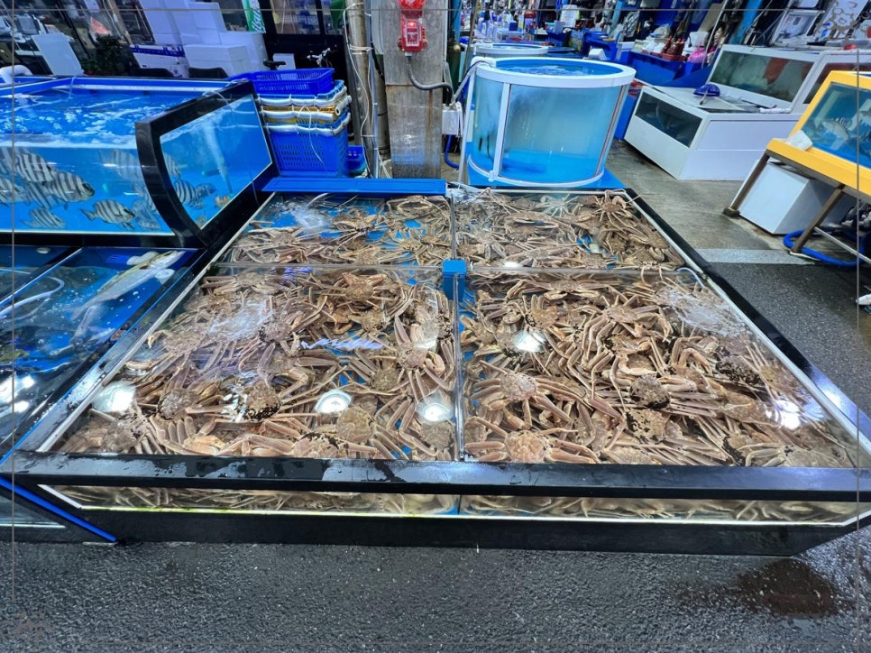 선주식당 이미지