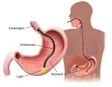 오메디칼의원 이미지