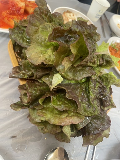 목포옻닭 이미지