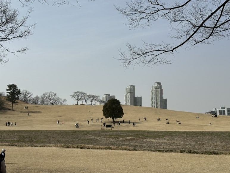 젤라떼리아피오니 이미지