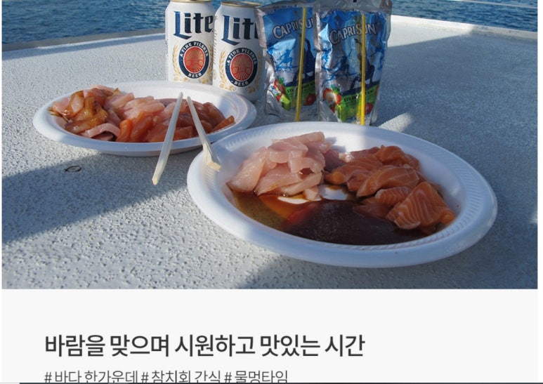 카멜리 이미지