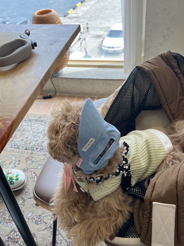 화봉손칼국수 이미지