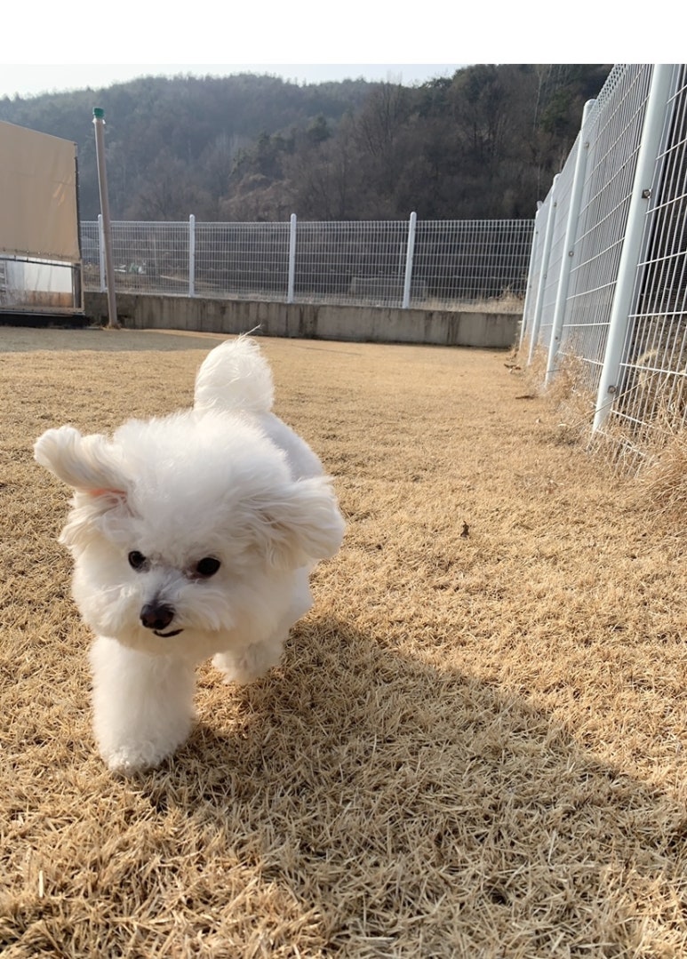 빗과가위소리 이미지