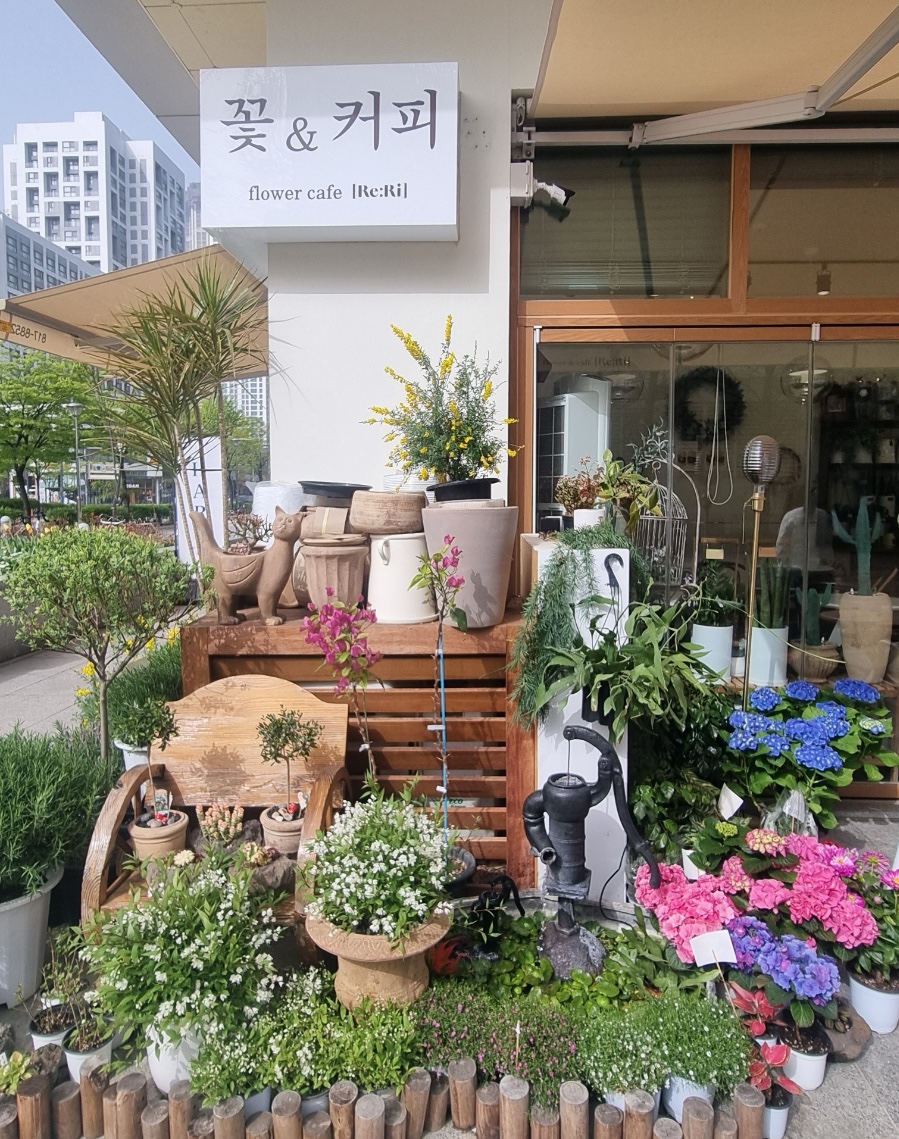 리리플라워카페 이미지