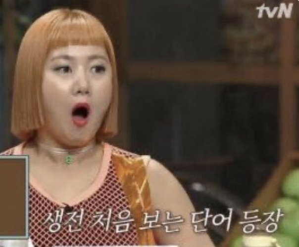 딜레탕트 이미지