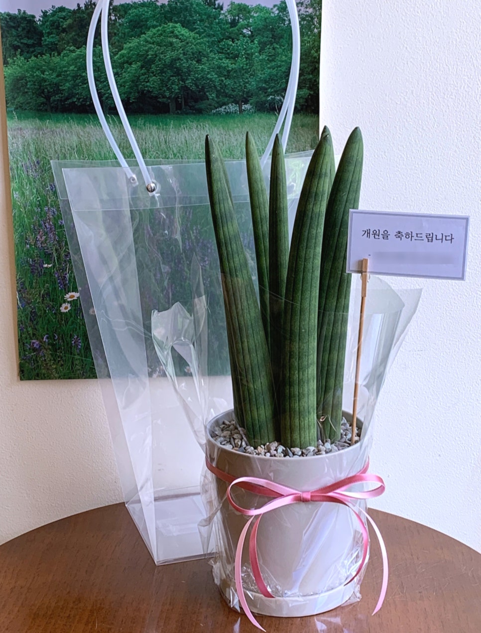 하우애니 이미지