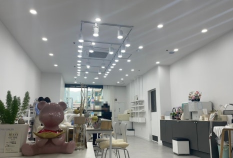 네일코인 이미지