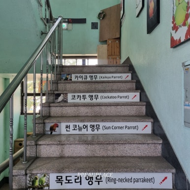 광주앵카페 이미지