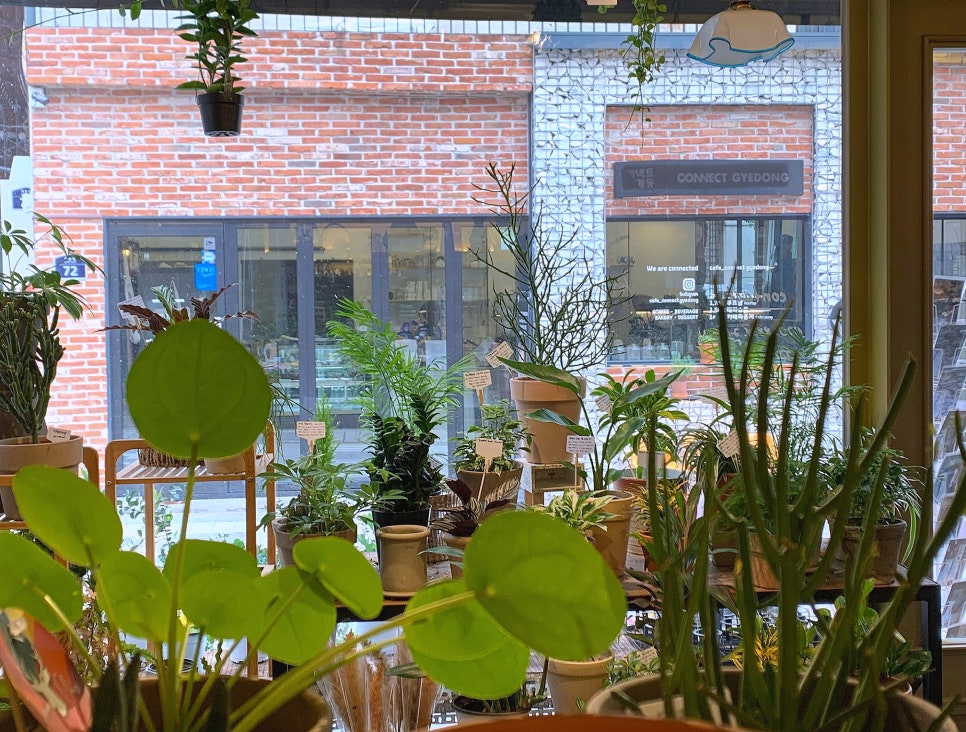 하우애니 이미지