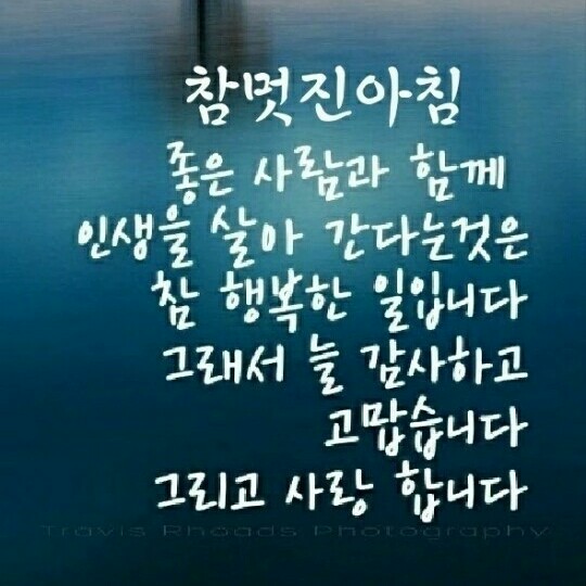 천하카센타 이미지