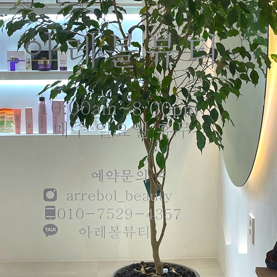 아레볼뷰티 이미지