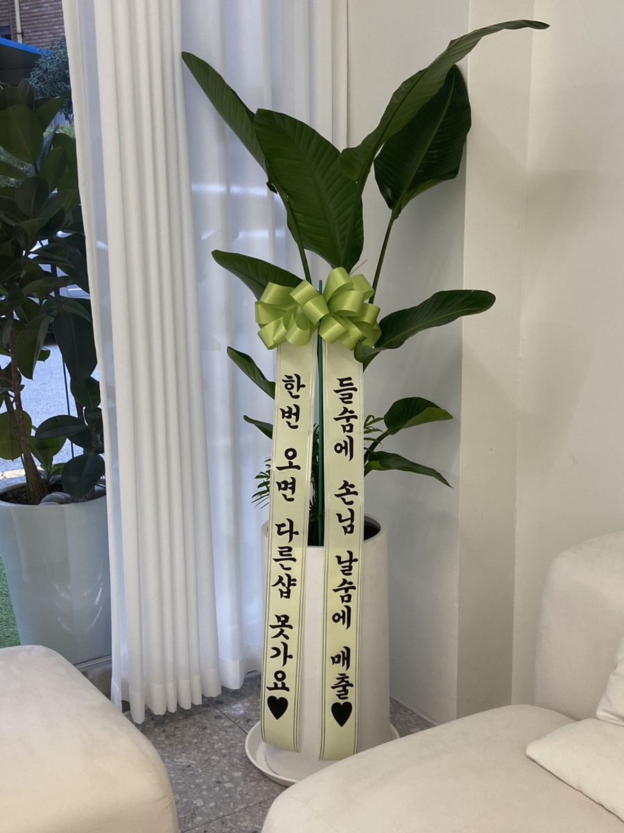 율리스네일 쌍촌점 이미지