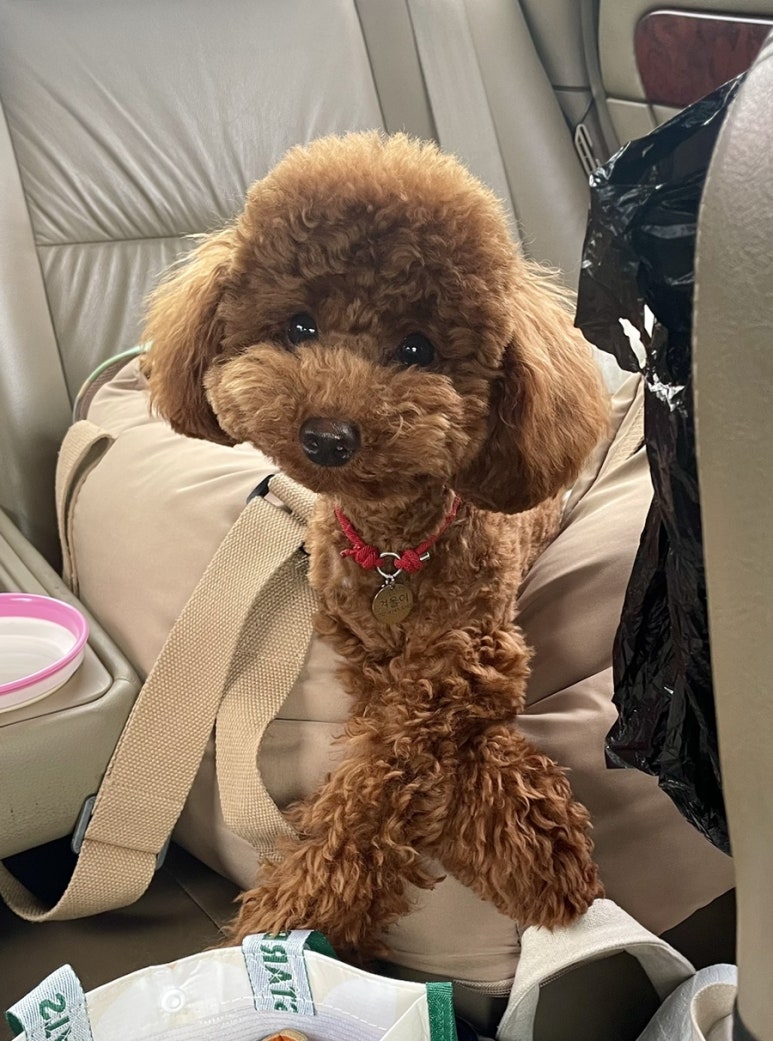 스며들펜션 이미지