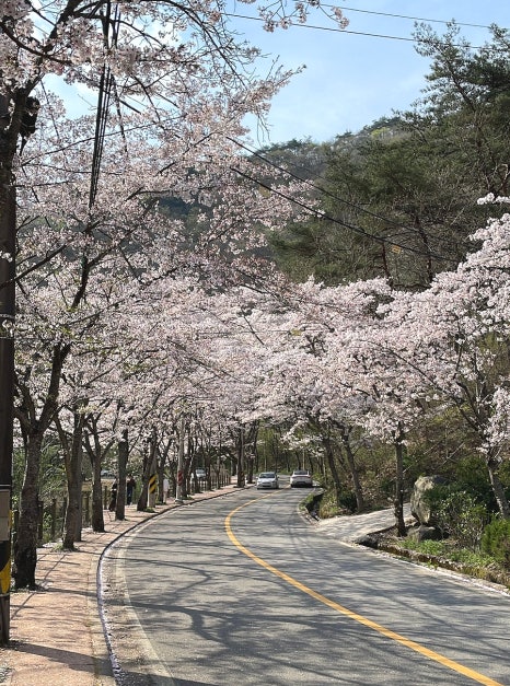 투게더선운행복점 이미지