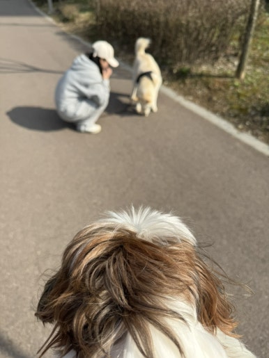 복덩이찐빵 이미지