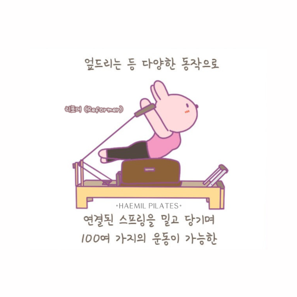 트라비즈 이미지