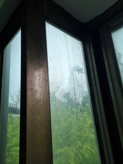 제이클린 이미지