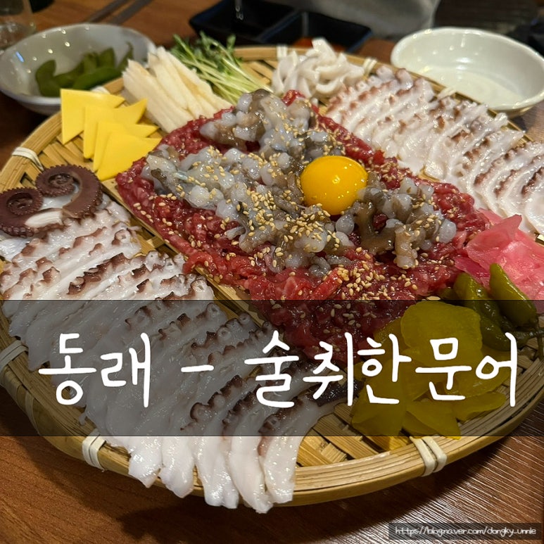 술취한문어 이미지