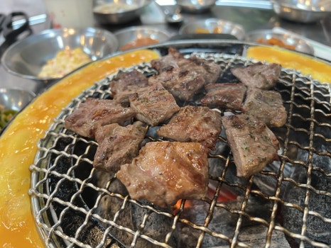 돗배갈매기 이미지