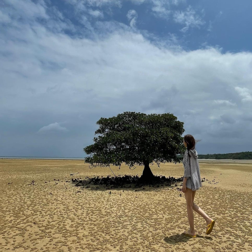 아오조라 히카리 / Hikari Aozora / 青空ひかり : 네이버 블로그