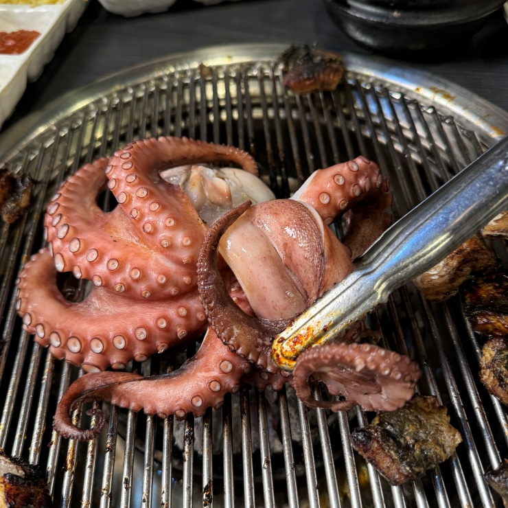 장어랑문어랑 이미지