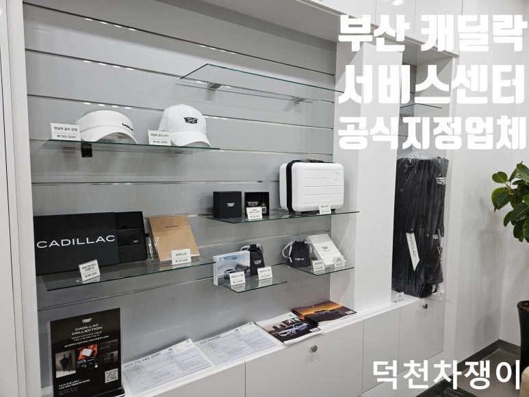 케이디렌트카주 이미지