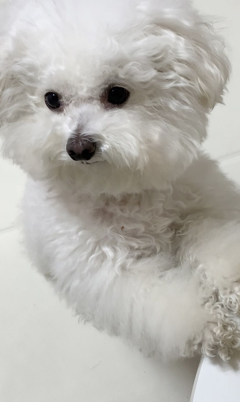 빗과가위소리 이미지