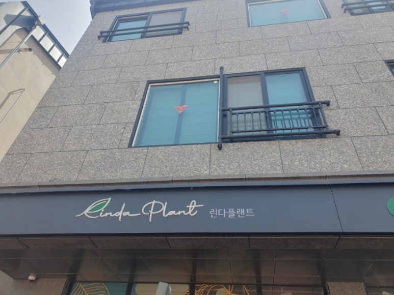 린다플랜트 이미지