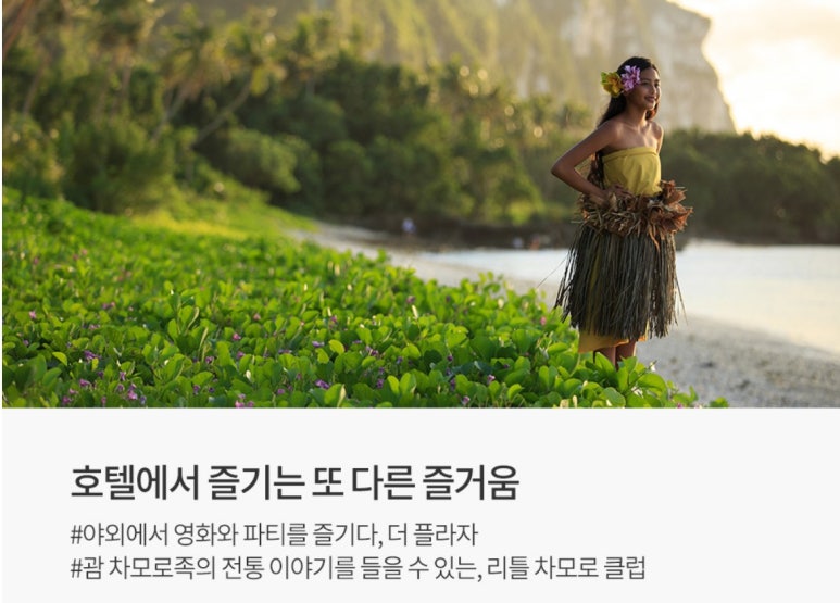 카멜리 이미지