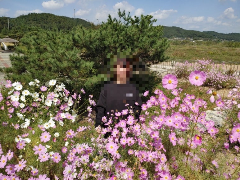 늘배움평생교육원 이미지