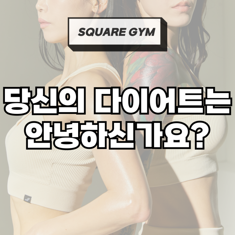 프리미엄스퀘어짐 이미지