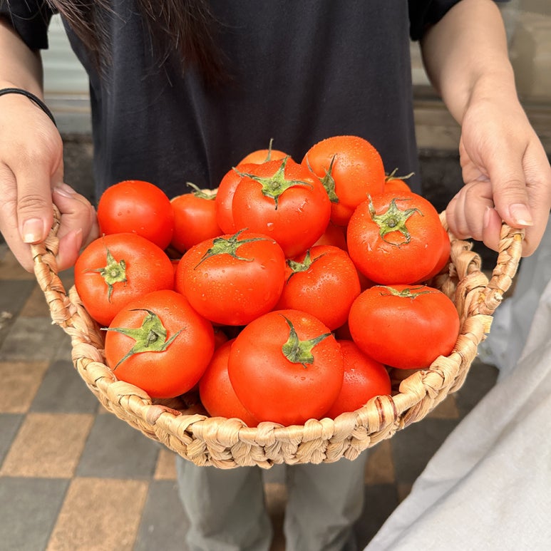 토마토누리 이미지