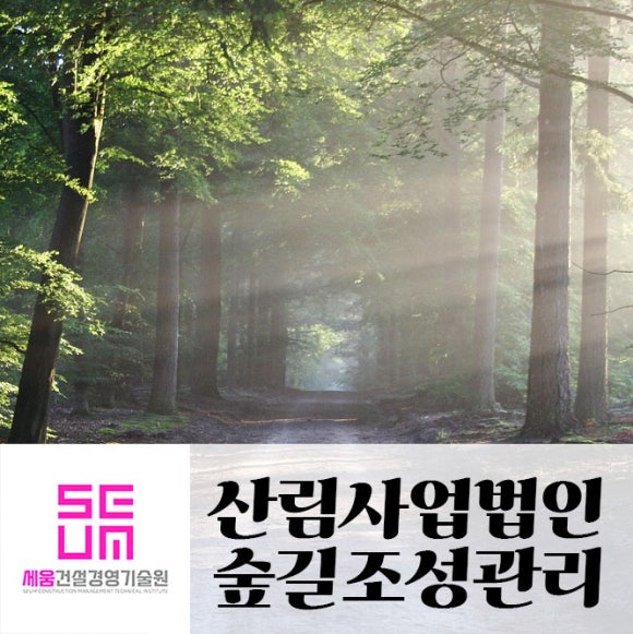 숲길법인 이미지