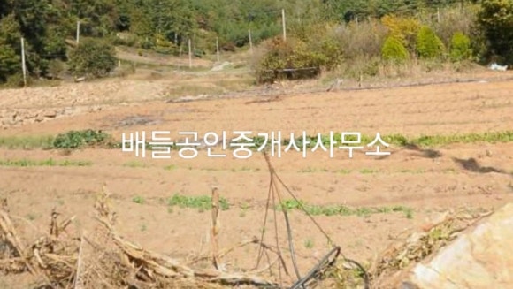 무안IC 이미지