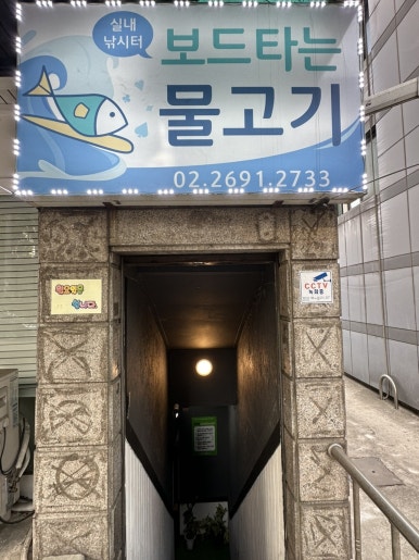 보드타는물고기 이미지