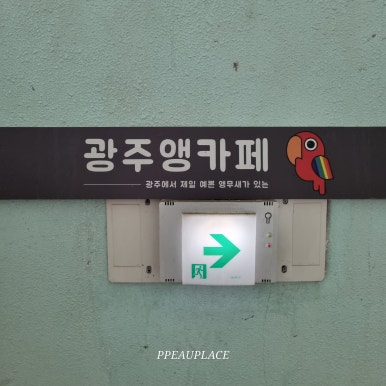 광주앵카페 이미지
