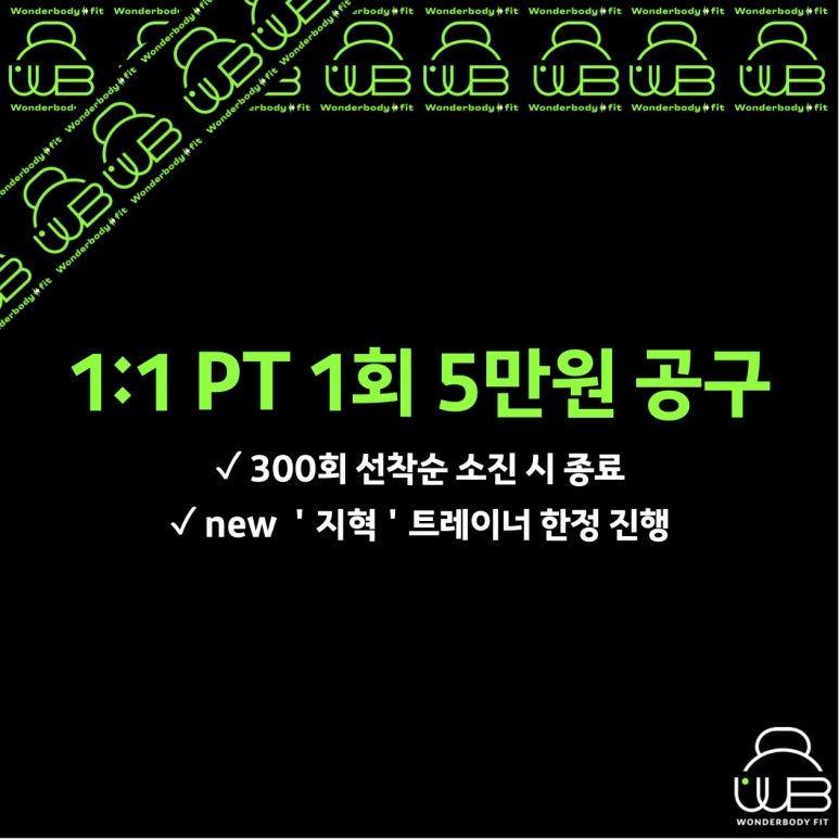 원더바디핏 이미지