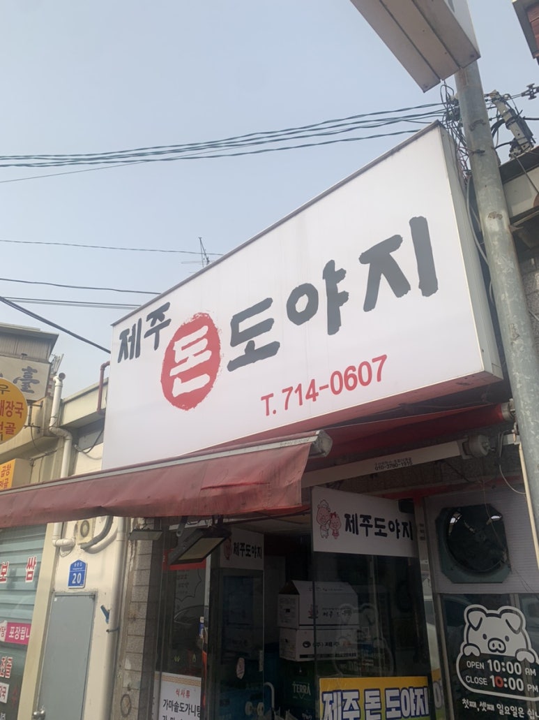 돈도야지 이미지