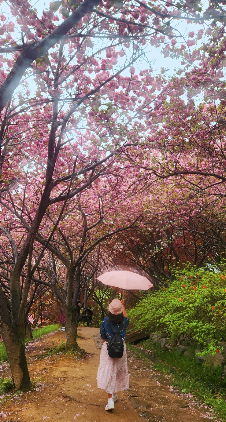 완산(완주) 이미지